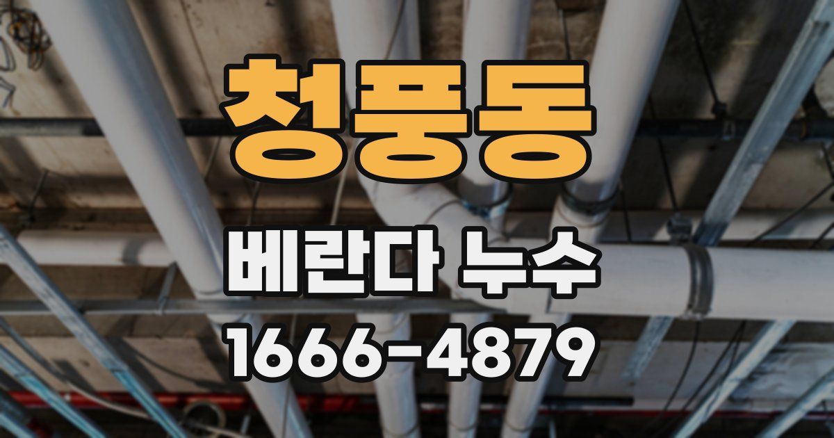 청풍동 베란다 누수