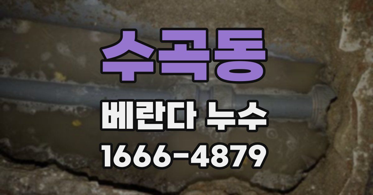 수곡동 베란다 누수