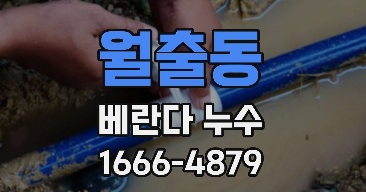 월출동 베란다 누수