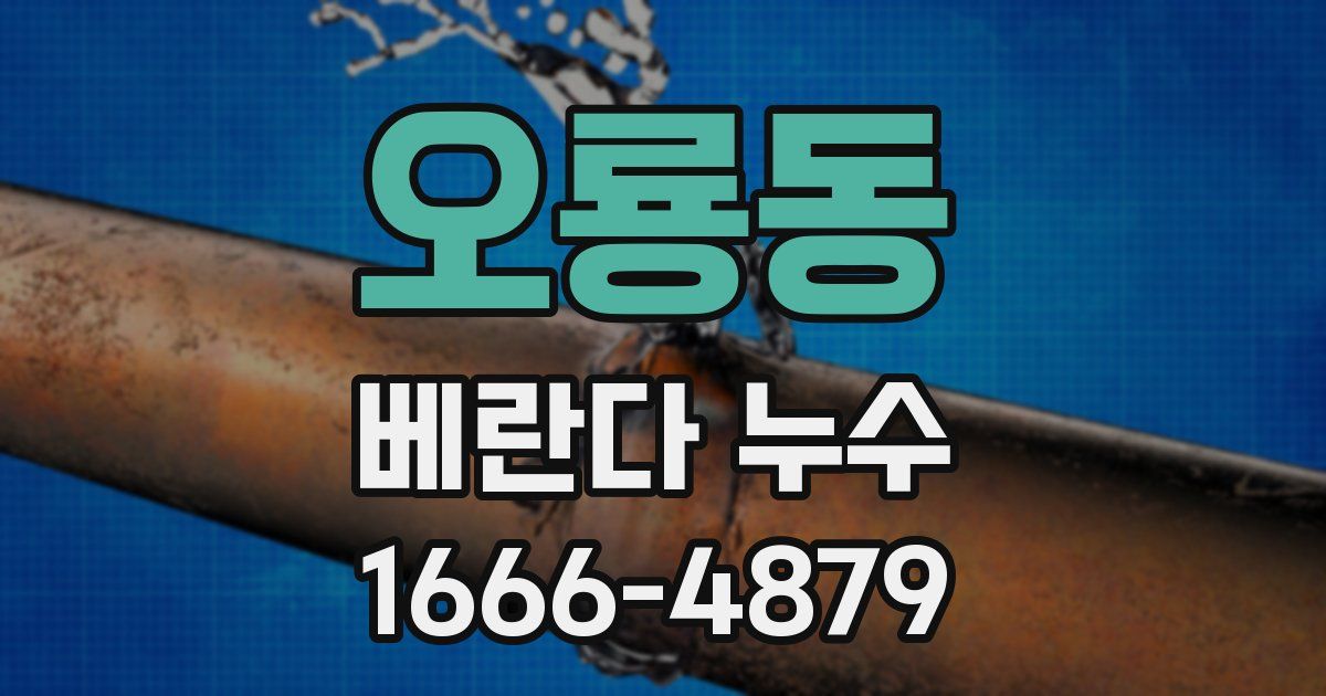 오룡동 베란다 누수