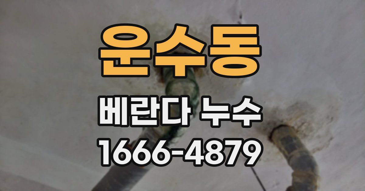 운수동 베란다 누수
