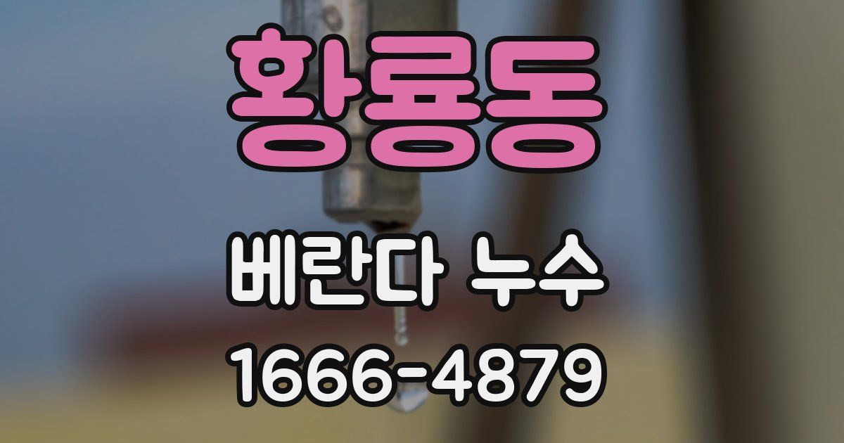 황룡동 베란다 누수