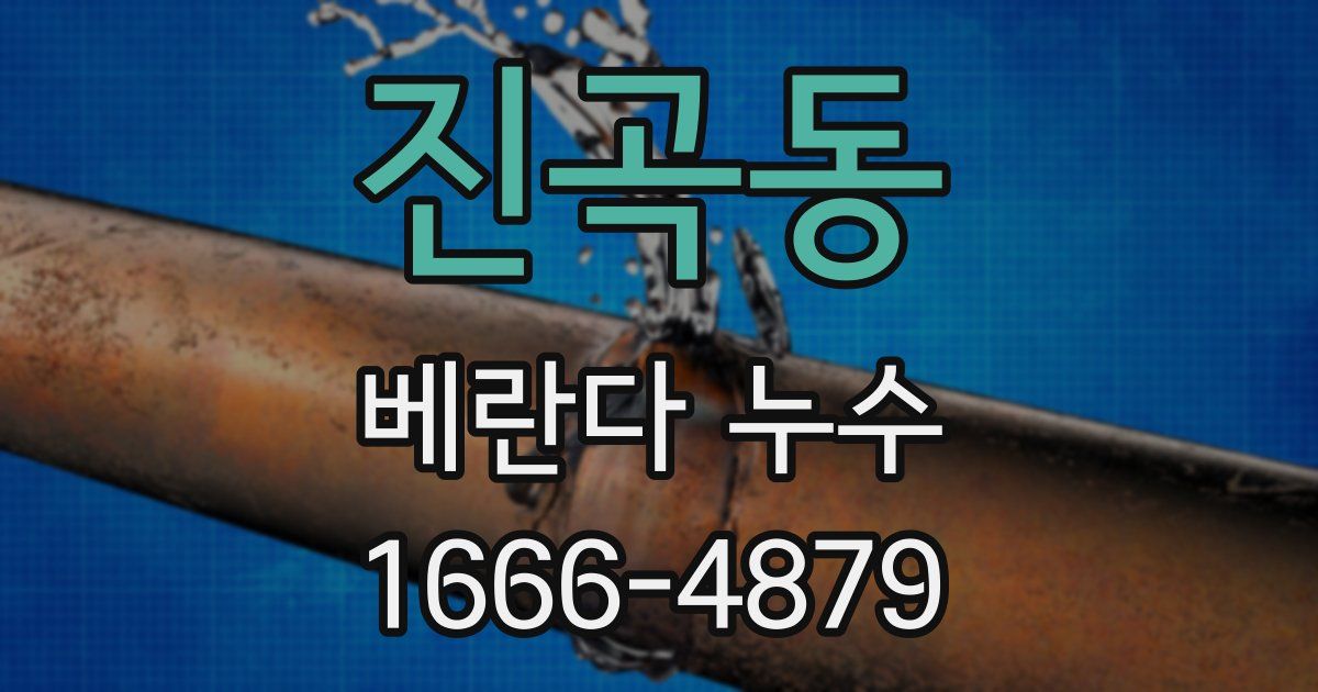 진곡동 베란다 누수