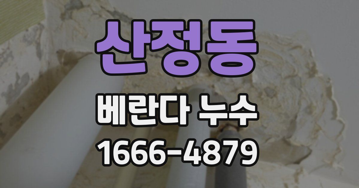 산정동 베란다 누수