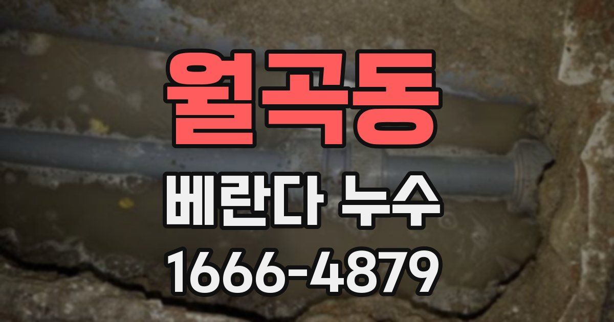 월곡동 베란다 누수