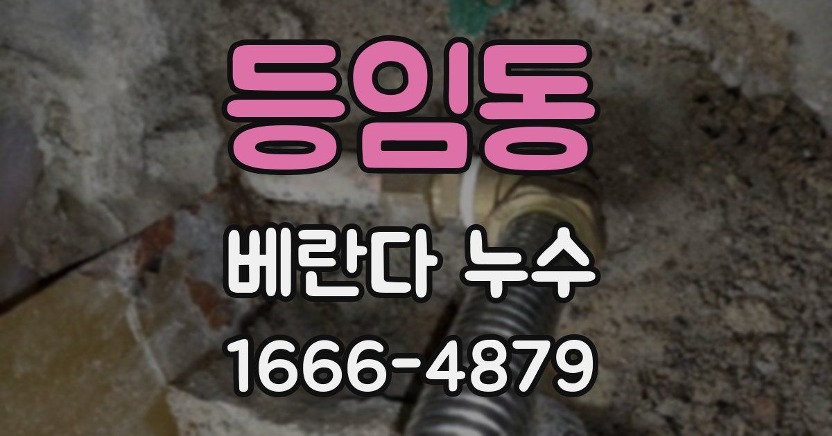 등임동 베란다 누수