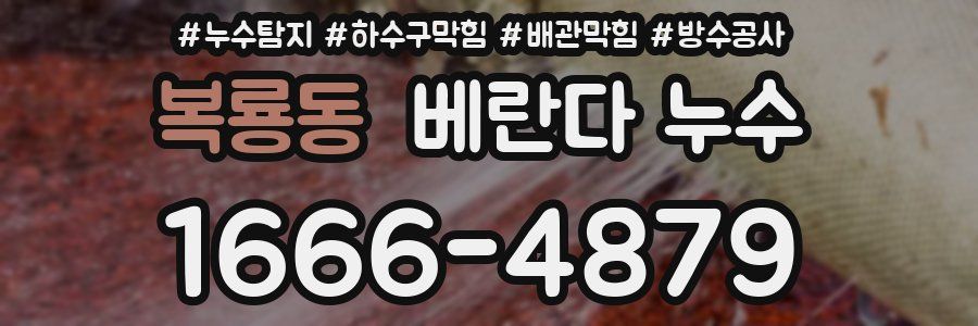 복룡동 베란다 누수