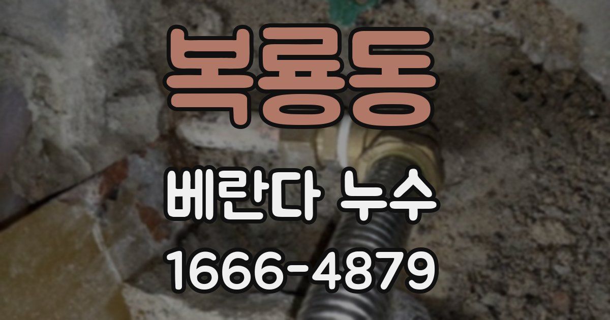 복룡동 베란다 누수