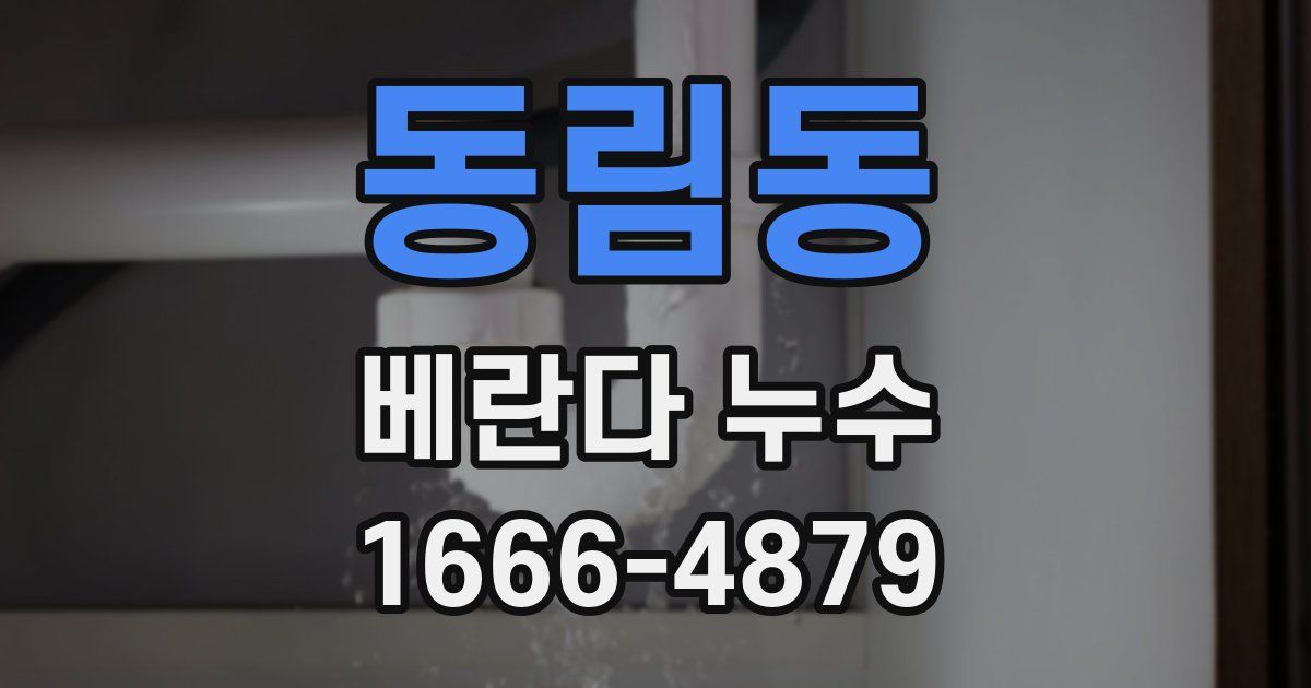 동림동 베란다 누수