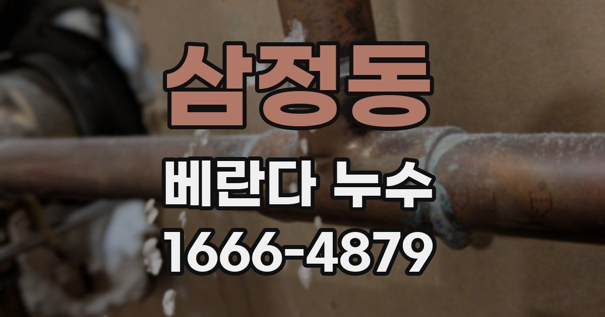 삼정동 베란다 누수