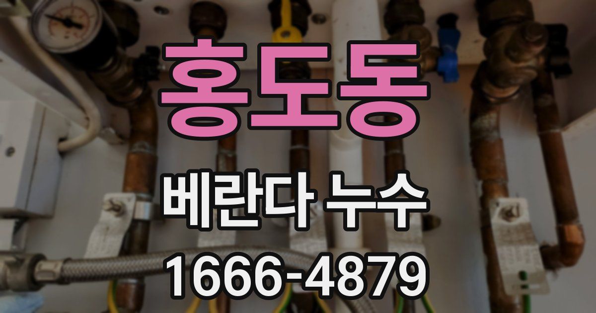 홍도동 베란다 누수