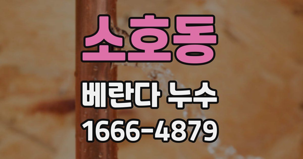 소호동 베란다 누수
