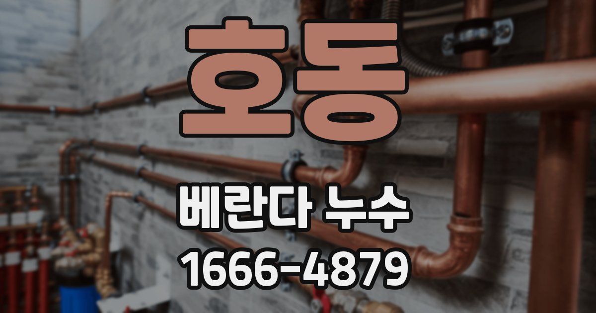 호동 베란다 누수