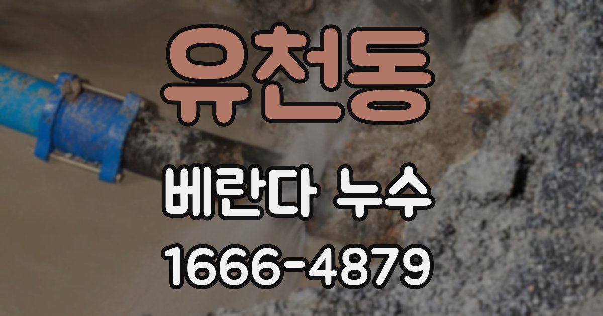 유천동 베란다 누수