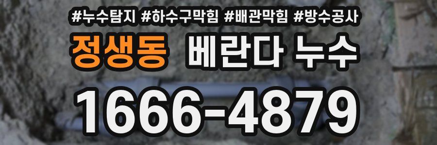 정생동 베란다 누수