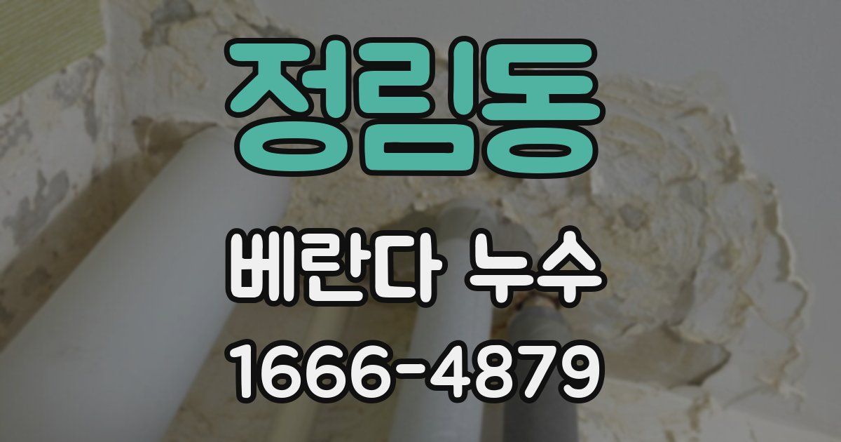 정림동 베란다 누수