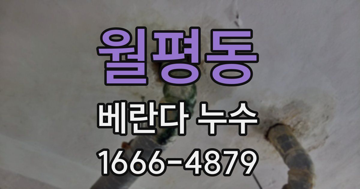 월평동 베란다 누수
