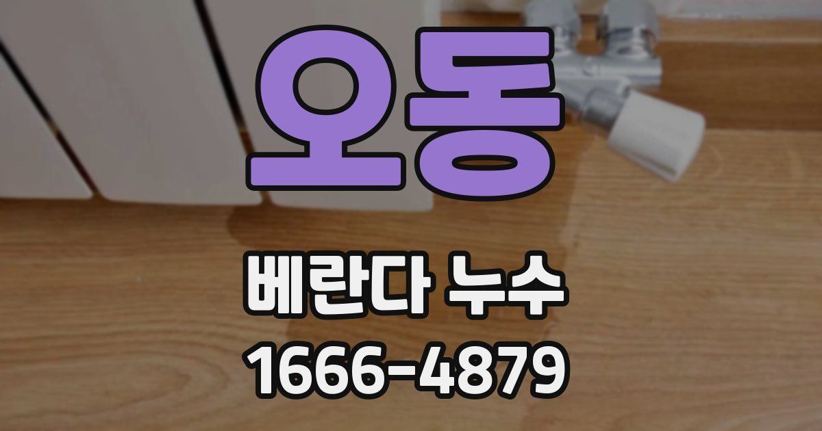 오동 베란다 누수
