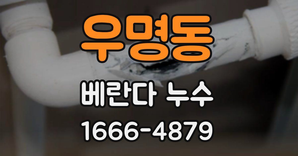 우명동 베란다 누수