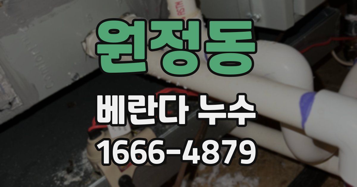 원정동 베란다 누수