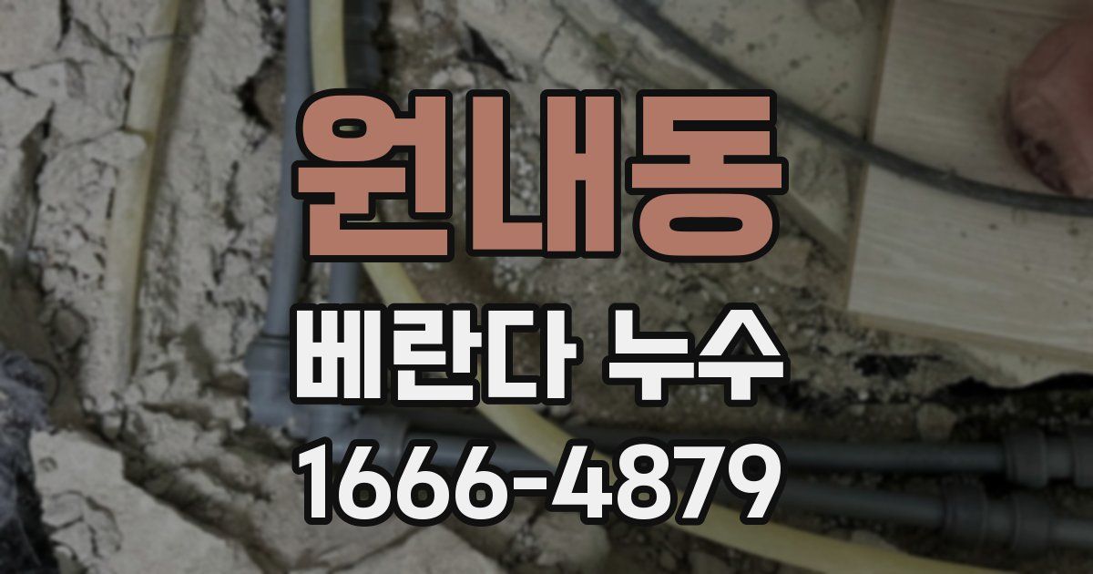 원내동 베란다 누수