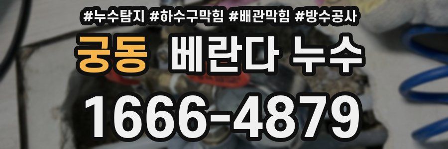 궁동 베란다 누수