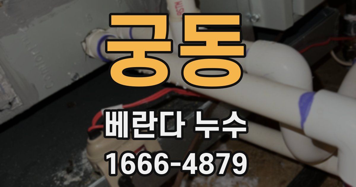 궁동 베란다 누수
