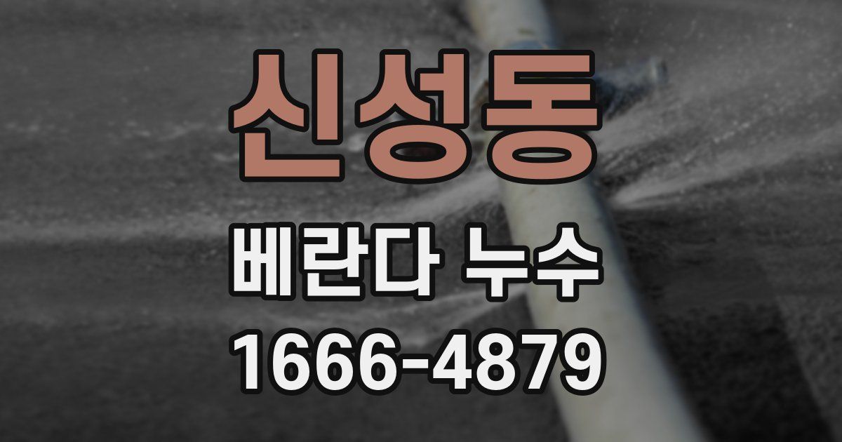 신성동 베란다 누수
