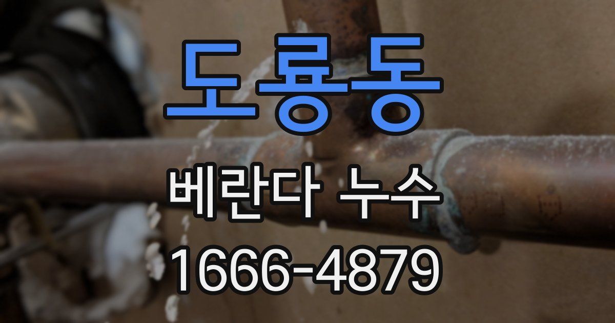 도룡동 베란다 누수