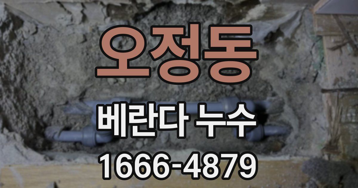 오정동 베란다 누수