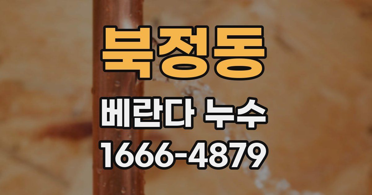 북정동 베란다 누수