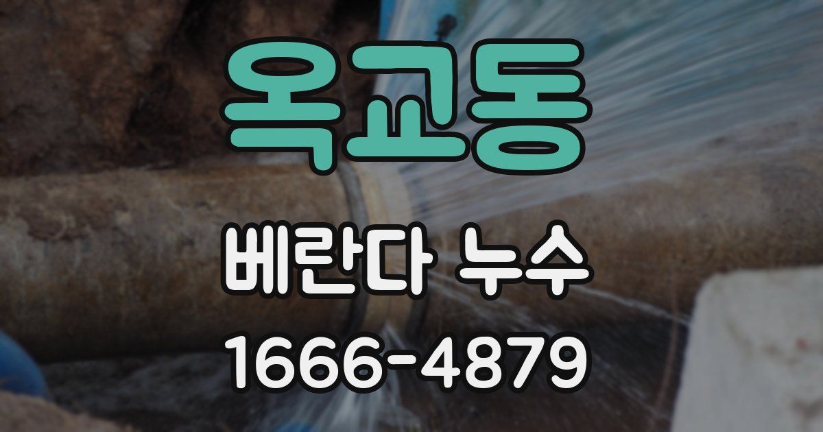 옥교동 베란다 누수