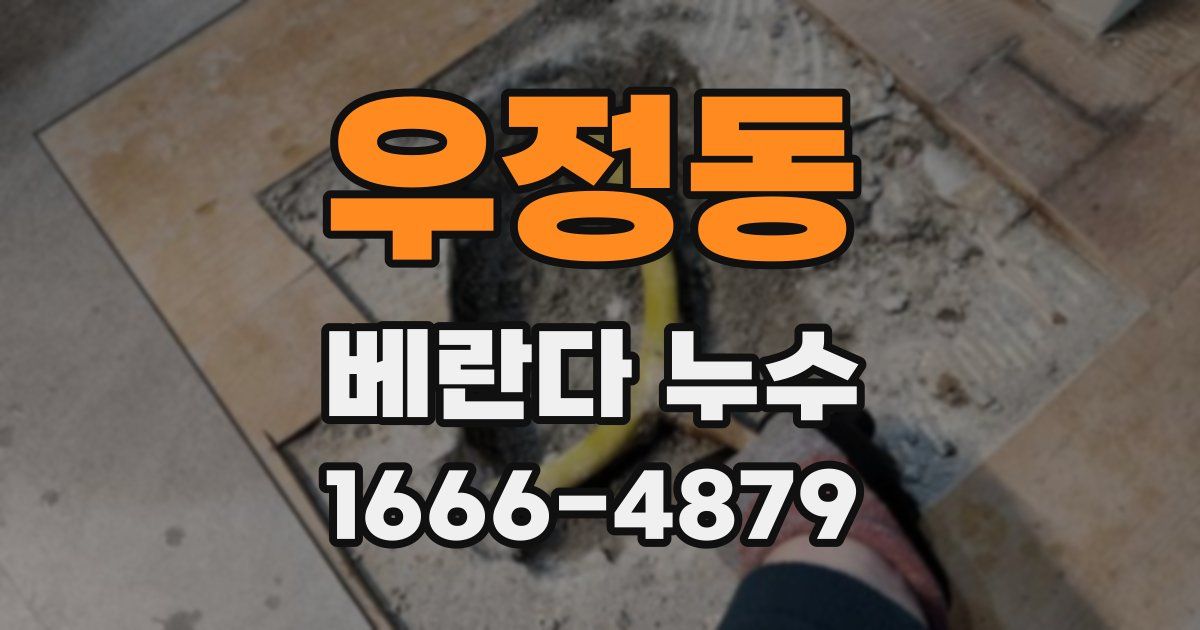 우정동 베란다 누수