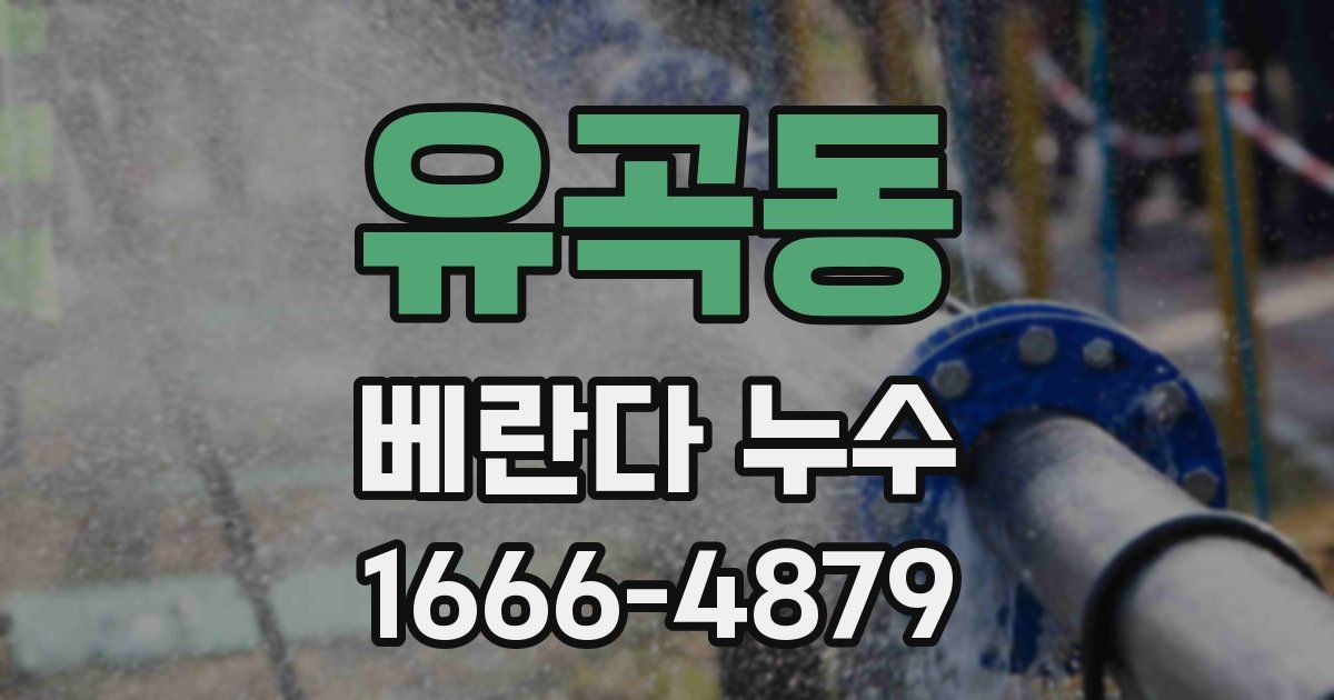 유곡동 베란다 누수