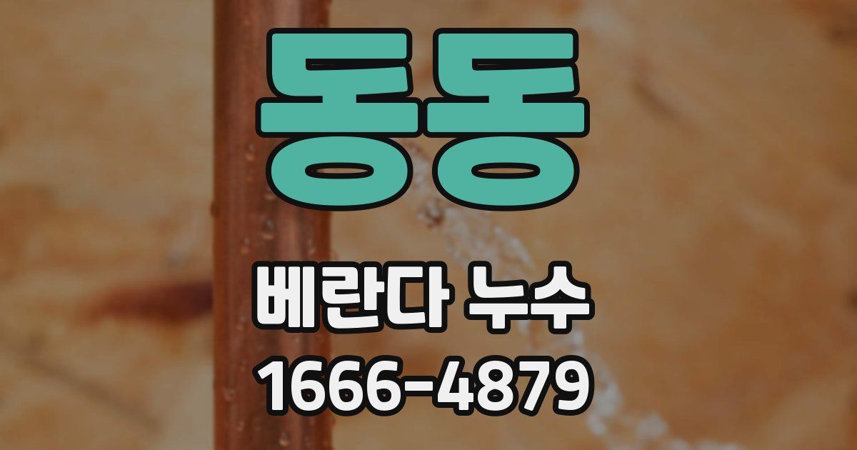 동동 베란다 누수