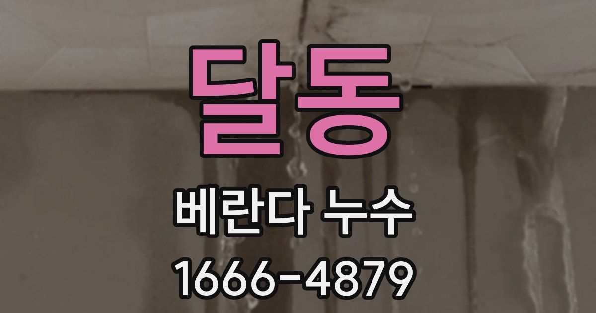 달동 베란다 누수