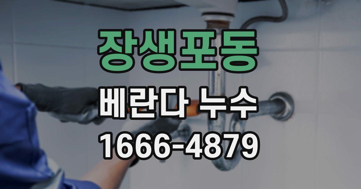 장생포동 베란다 누수