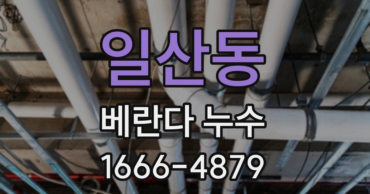 일산동 베란다 누수