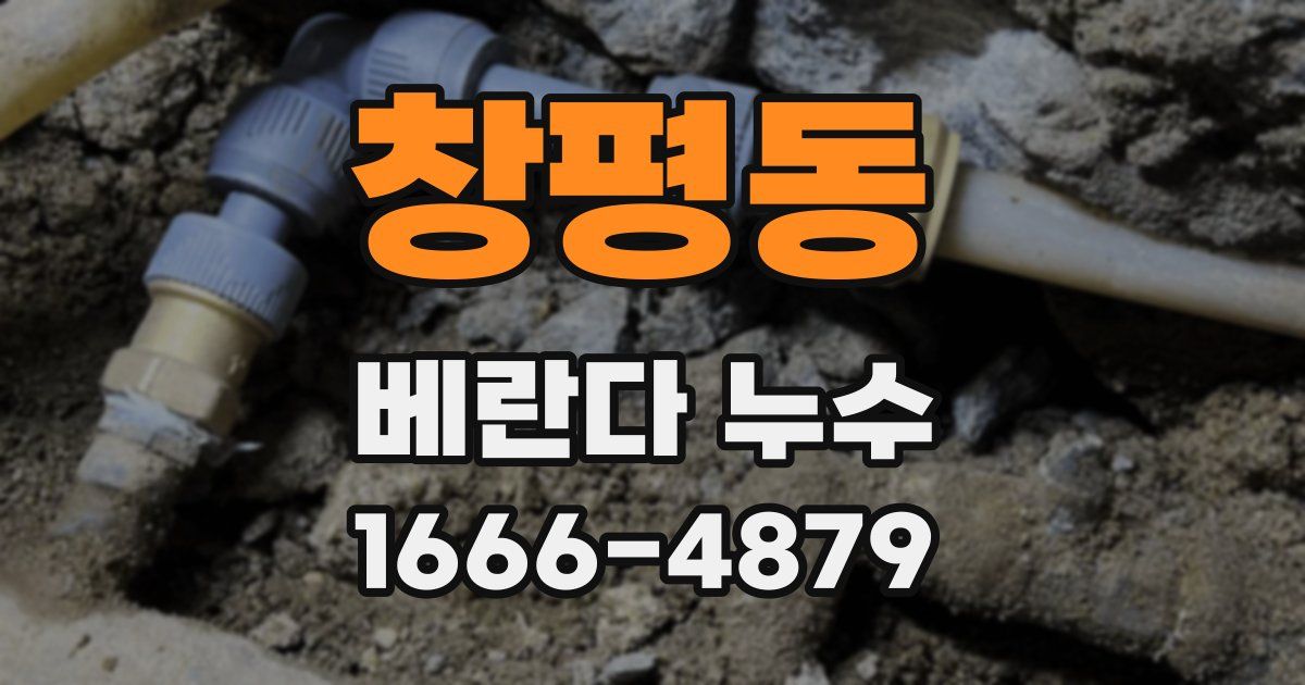 창평동 베란다 누수