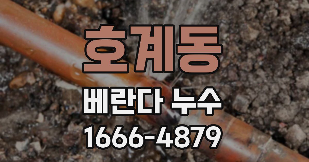 호계동 베란다 누수