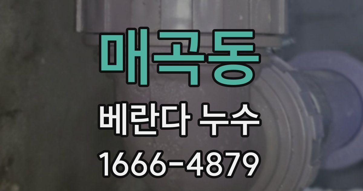 매곡동 베란다 누수
