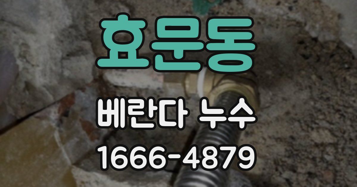 효문동 베란다 누수