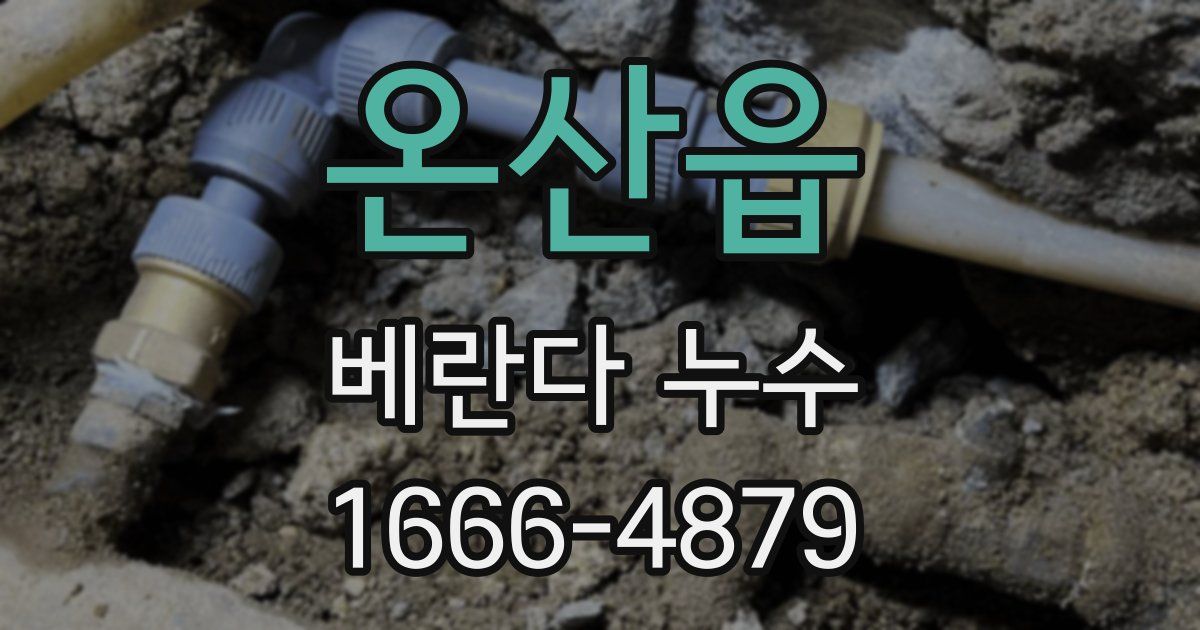 온산읍 베란다 누수