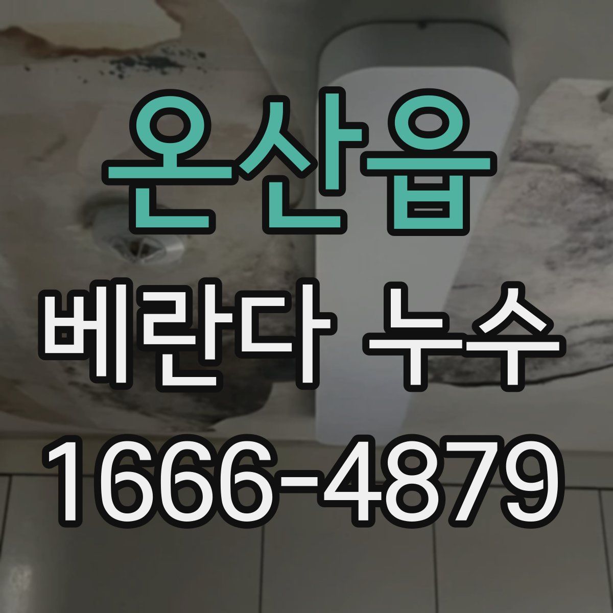 온산읍 베란다 누수