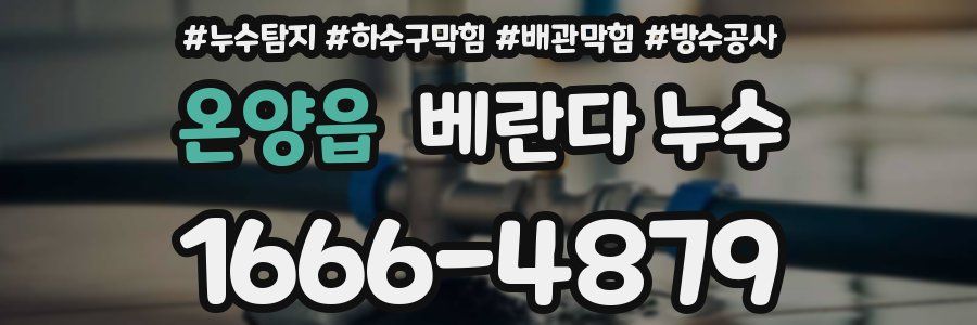 온양읍 베란다 누수
