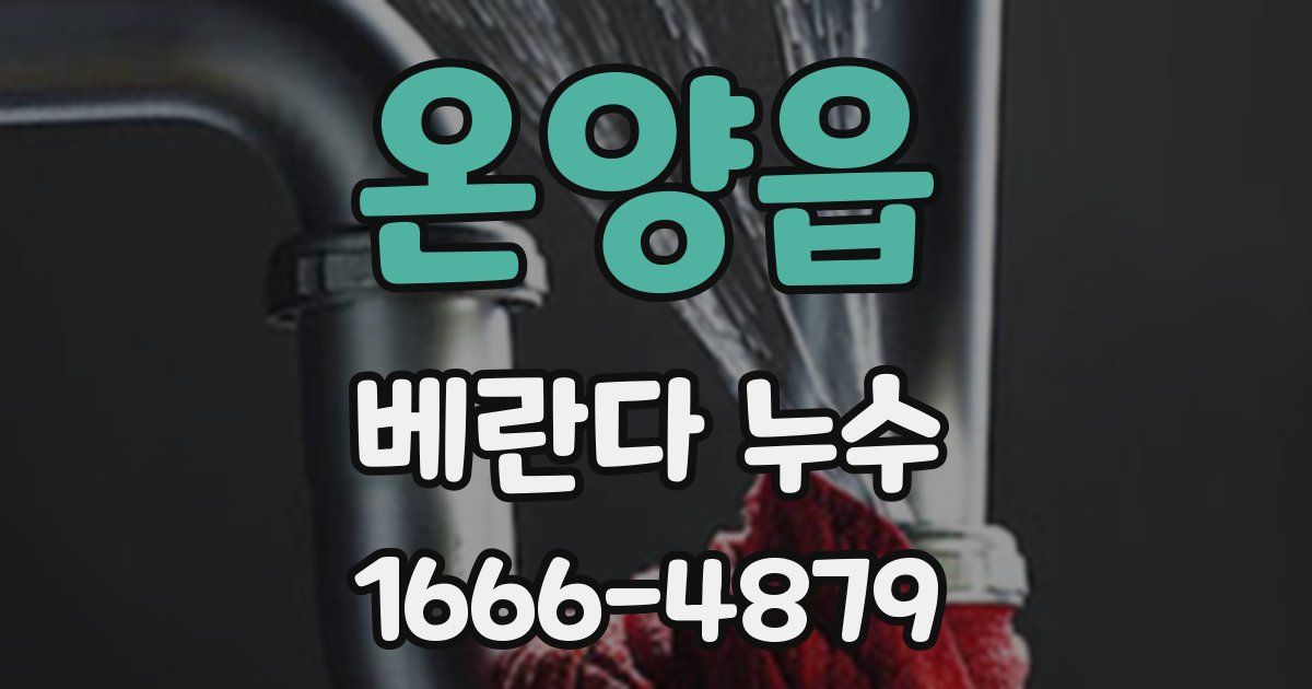 온양읍 베란다 누수