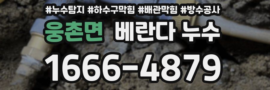웅촌면 베란다 누수