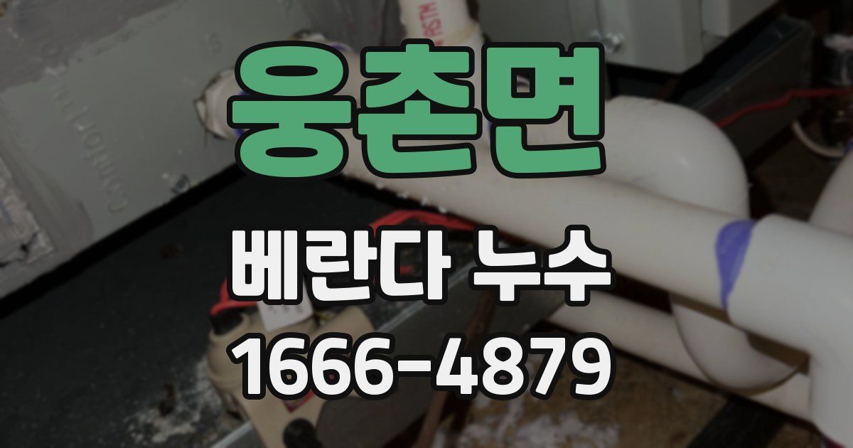 웅촌면 베란다 누수
