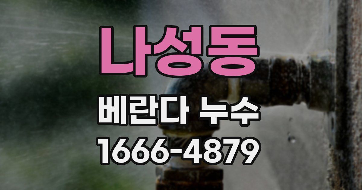 나성동 베란다 누수