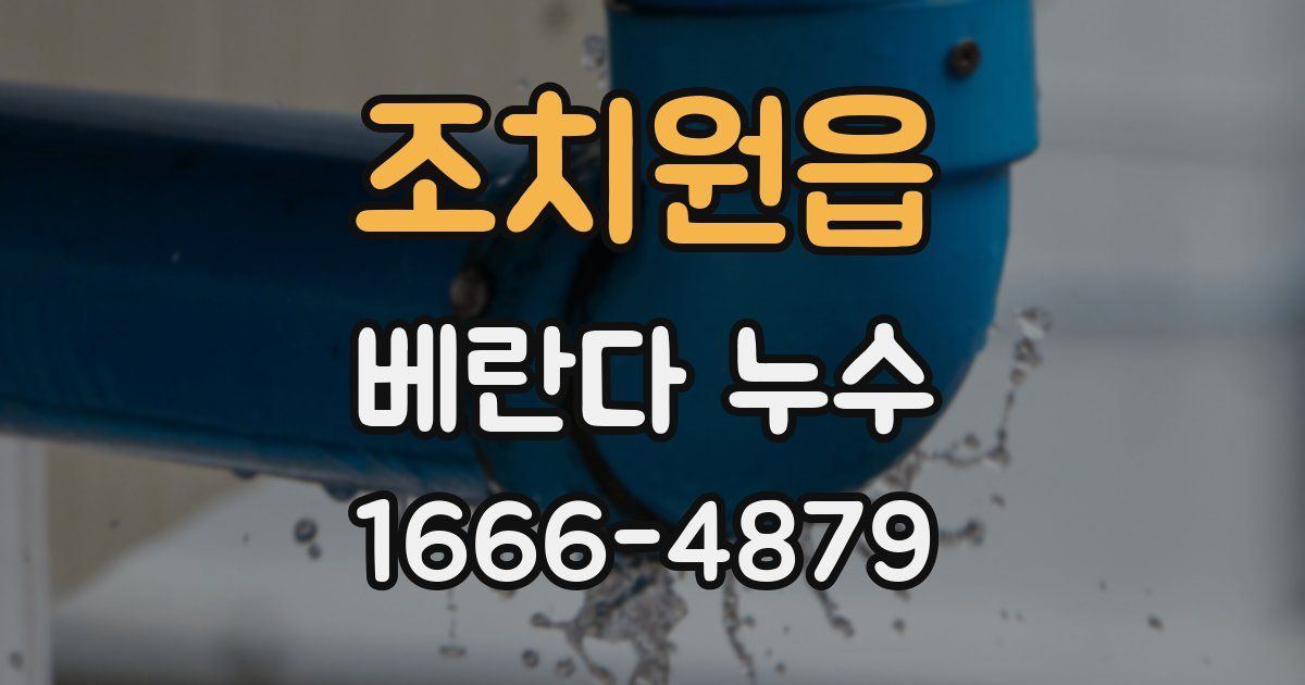 조치원읍 베란다 누수